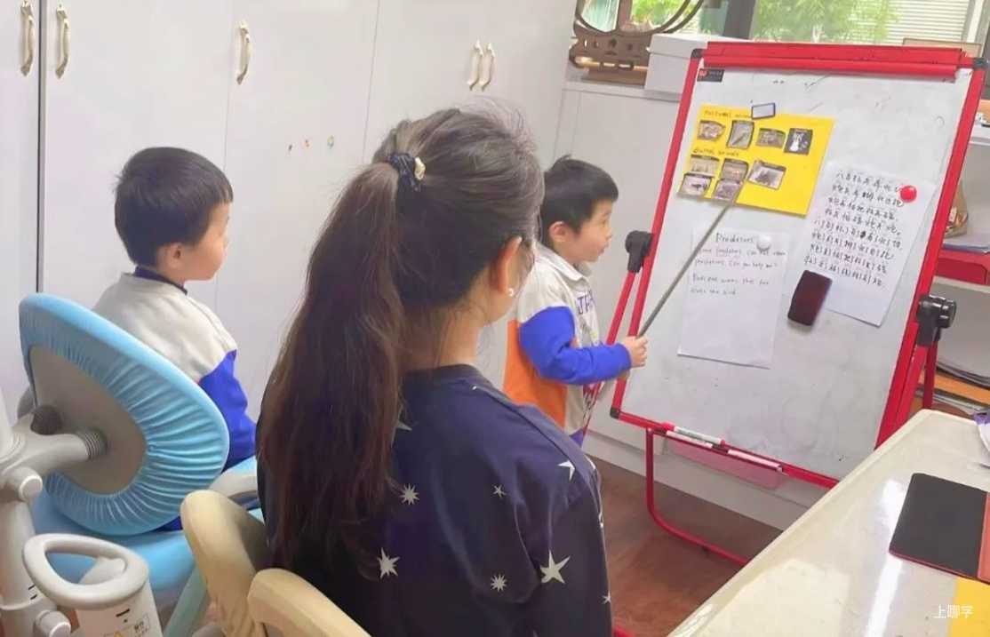 在家如何与娃和平相处？4位妈妈倾情分享！相关资料 21