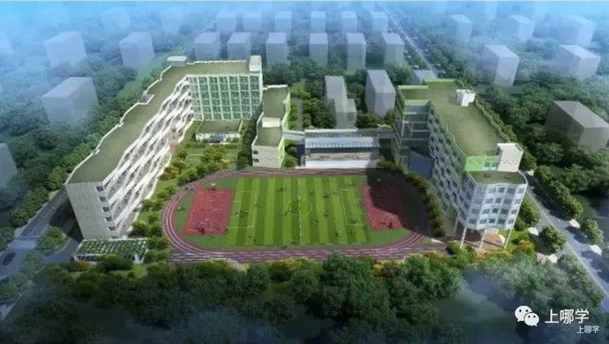 重磅消息！2022年上海竟有56所中小学更名！多所公办挂牌名校，即将起飞！相关资料 11