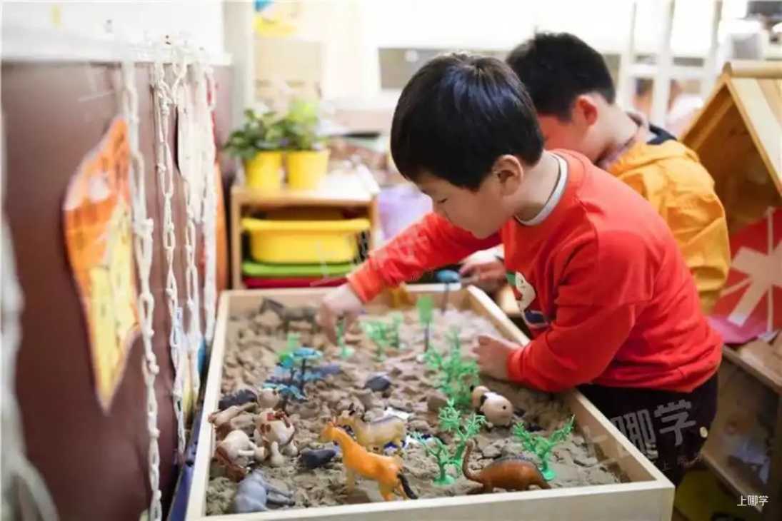 新晋市一级园！上海这所幼儿园，被誉为区内唯一一所幼儿园营养基地！相关资料 6