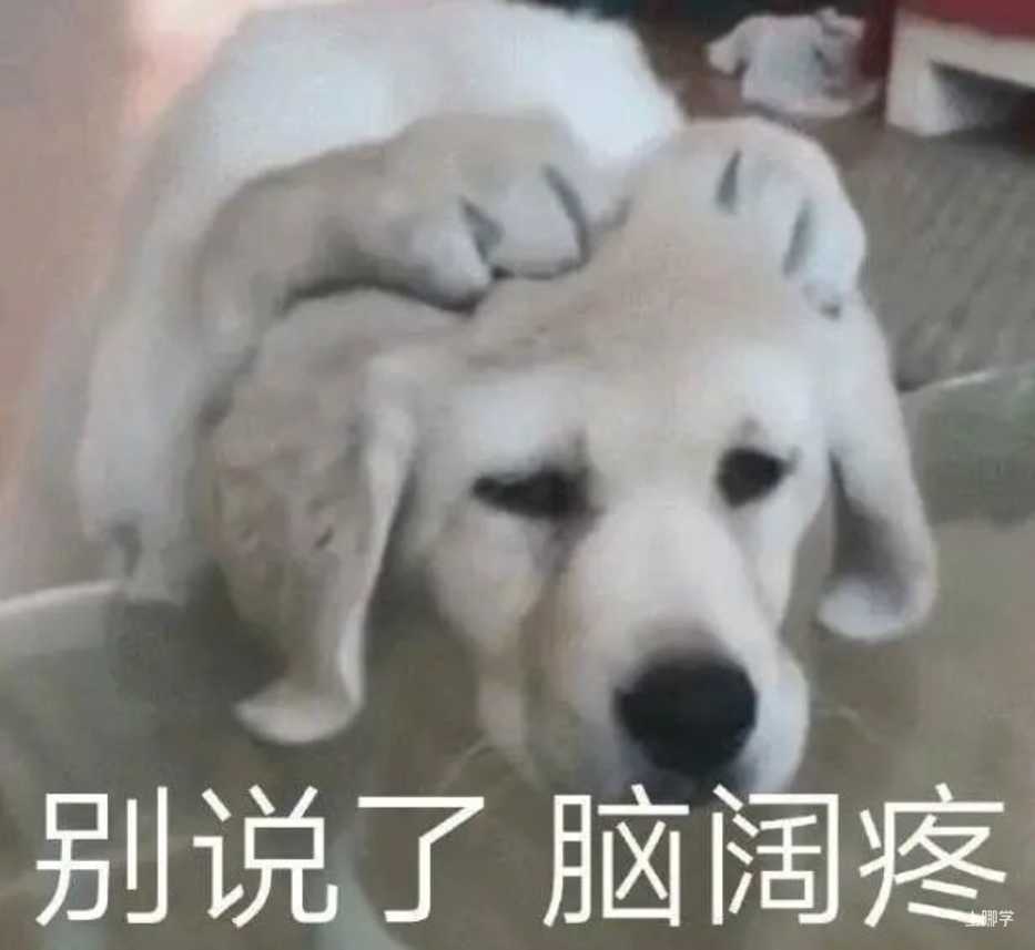 上海这10所优质小学25年发布超额预警！但有家庭摇号失败成功回，还有非沪籍被录取~相关资料 2