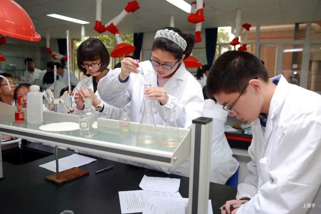 【点赞】普陀区十所学校获“上海市科技教育特色示范学校”等荣誉相关资料 13