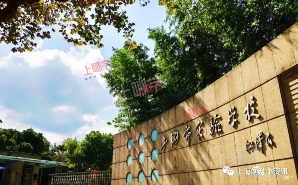 不买学区进公办！上海幼升小竟有5种入学方式！除了对口、摇号，还有零志愿全市招生！相关资料 3