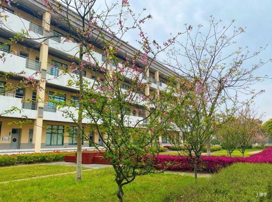 上海中学东校丨不限对口全区可报！上海这所公办学校超额摇号录取，报名后不能参加公办第一批验证！相关资料 9