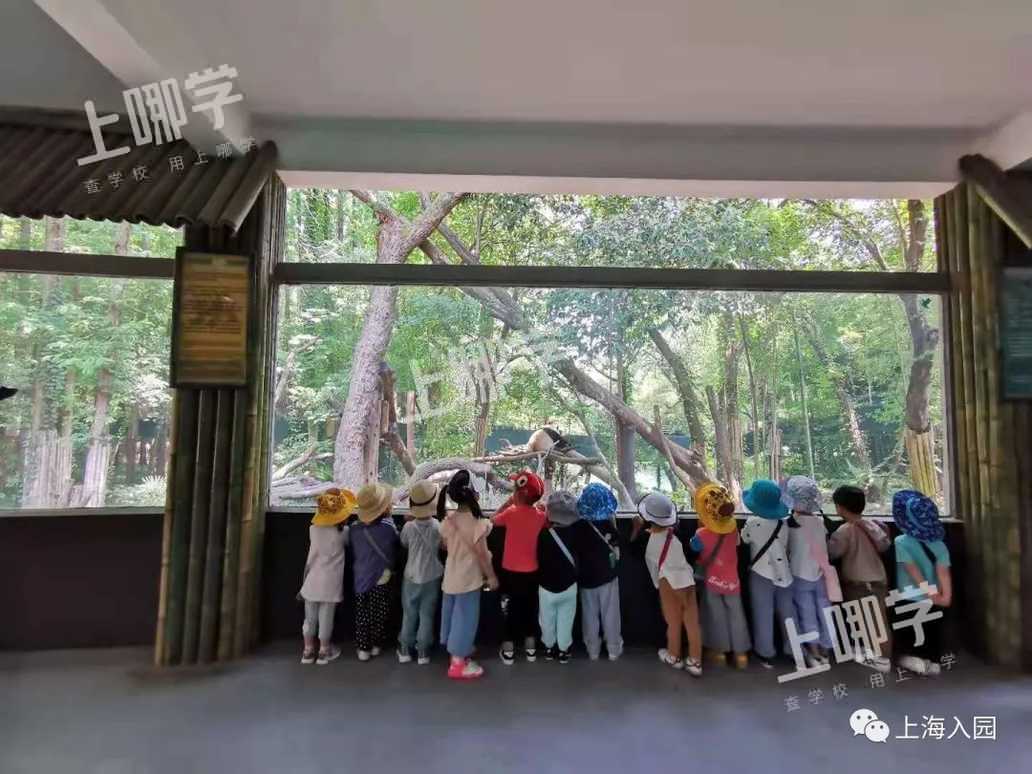 爱菊托育园｜美爆了！上海这所开在公园里的超热门托育园，双语教学，还可晚托到18点！相关资料 46