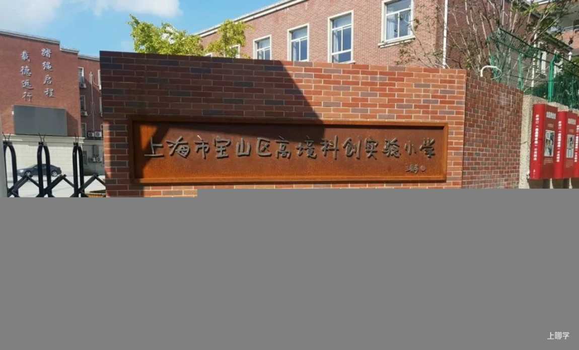 教育洼地翻身了！上海这个区教育资源大爆发！！世外、华二等强力教育资源纷纷入驻，区域特色教育品牌也飞速崛起！相关资料 20