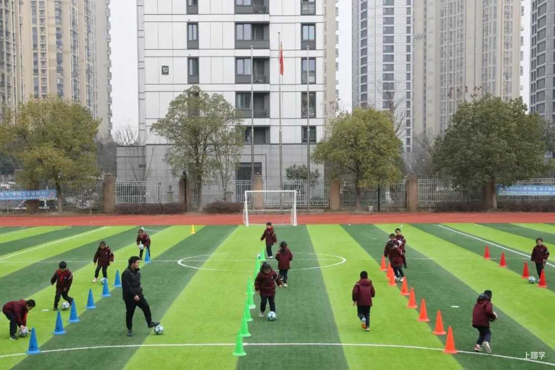 教育部：将严查挤占体育课、课间不准学生出教室等行为相关资料 2