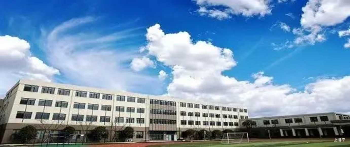 超全！2022入学必看民办双语小学盘点，27所全市招生！学费、信息一览，建议收藏相关资料 86