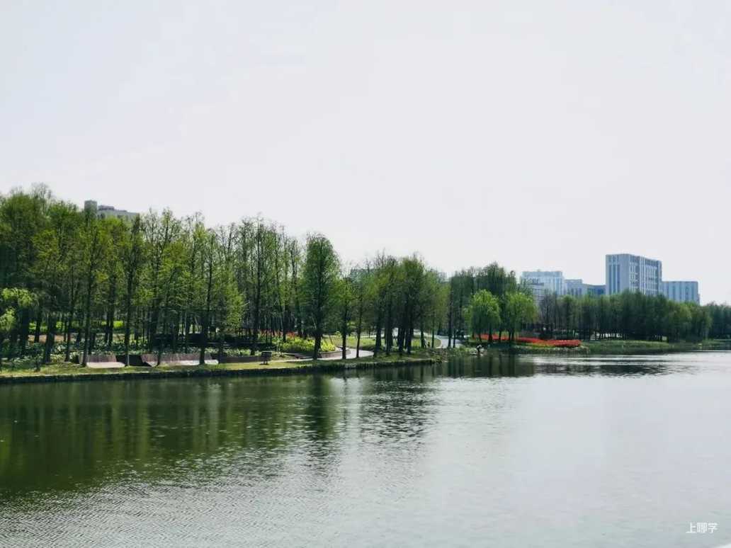 上海中学东校丨不限对口全区可报！上海这所公办学校超额摇号录取，报名后不能参加公办第一批验证！相关资料