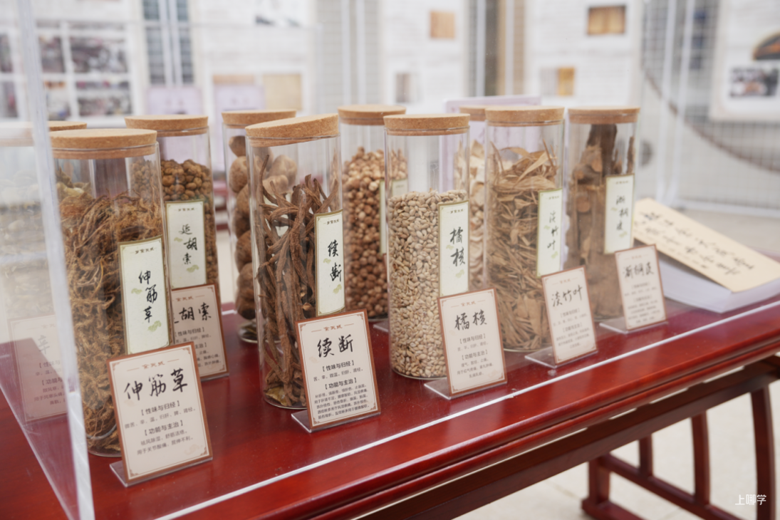 上海这所九年一贯制学校签约上海中医药大学！课程体系即将全面升级！相关资料 4