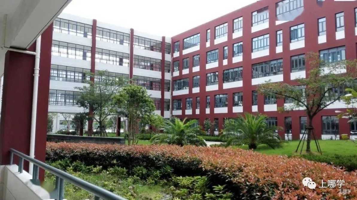 太赞了！2022年上海统招接受调剂志愿的民办学校大汇总！逸夫，爱菊，兰生今年都接受调剂志愿！相关资料 55