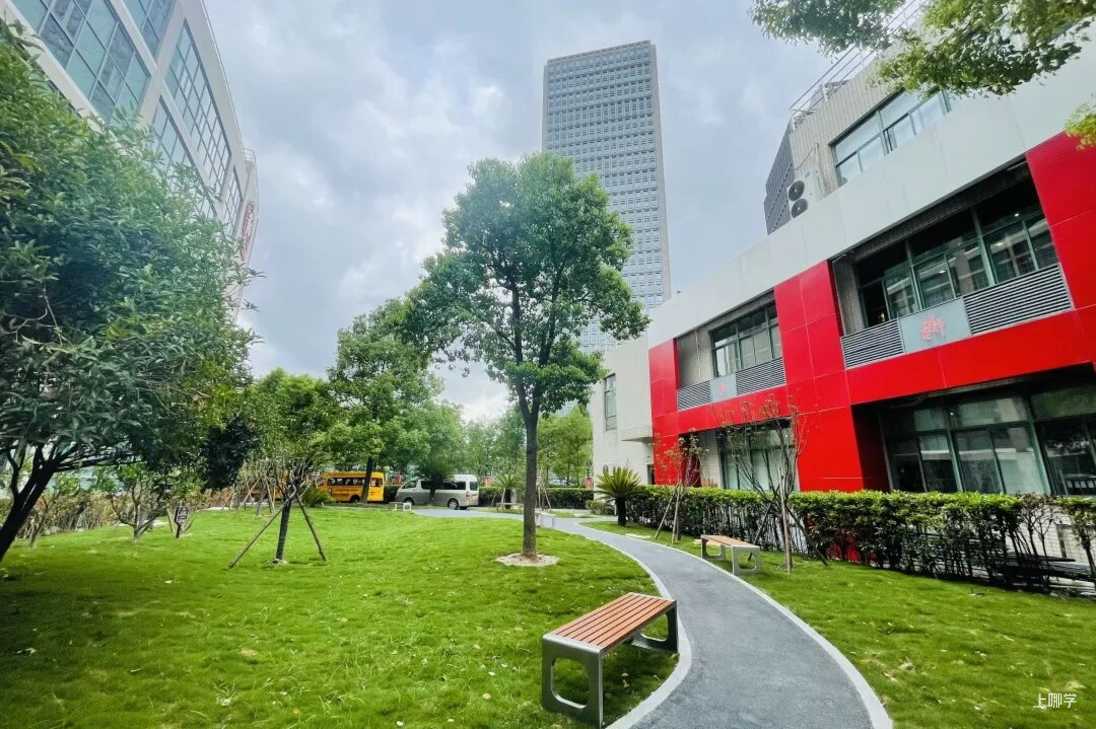 上海这所学校刚刚发布2026年小学插班生招生公告！3月23日开始报名！相关资料 6