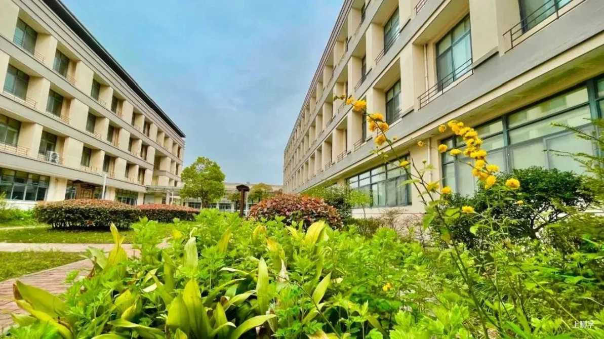 上海中学东校丨不限对口全区可报！上海这所公办学校超额摇号录取，报名后不能参加公办第一批验证！相关资料 2