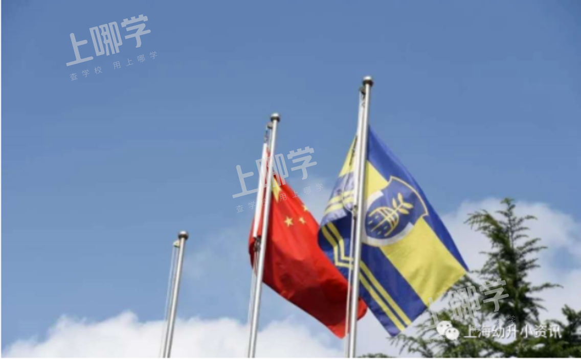 徐汇区小学教育资源分析丨拥有多所热门小学，上中新校重磅落地，再度腾飞！相关资料 10