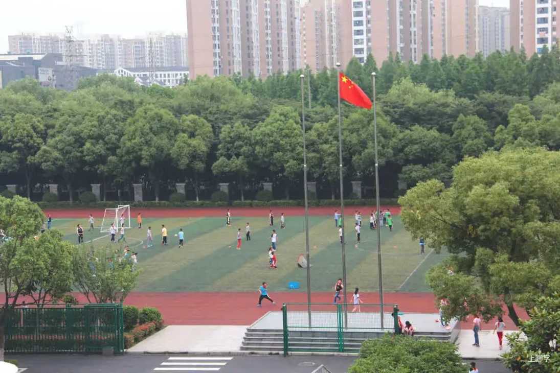 操场上的学校|上海市青浦区豫英小学：创特色 强体魄 育英才相关资料 8