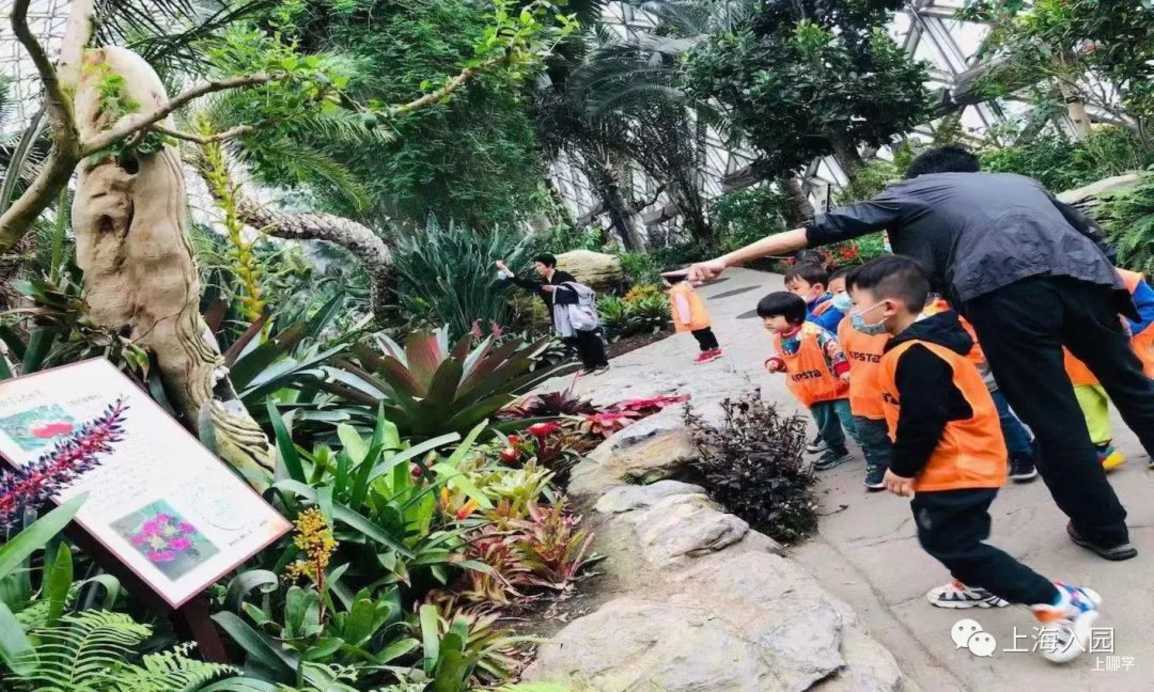 3个“高体验”IB PYP幼儿园！硬核英语环境+超高性价比！快来看你家附近有没有~相关资料 21