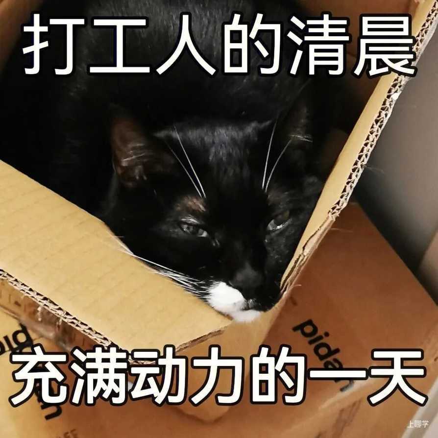 强冷空气杀到！上海天气迎来大转折，最低气温或将跌至个位数！家长快收好幼儿穿衣指南！相关资料 2