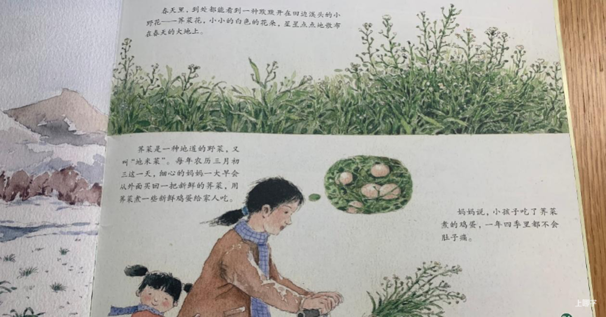 涨价了！正在涨，还要涨！分班必备！上海地区80%以上幼儿园订阅、幼儿语言启蒙天花板《看图说话》，懂的都懂！相关资料 18