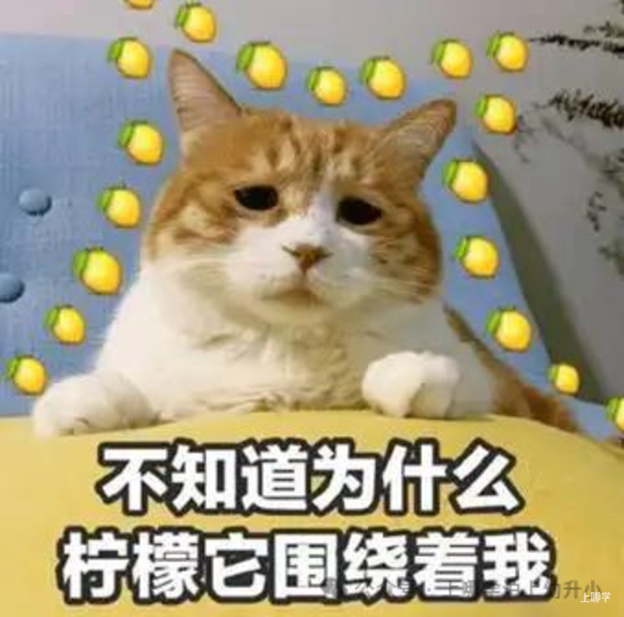 全国多地中小学寒假放假时间出炉！最多的长达46天！上海什么时候放？相关资料 3