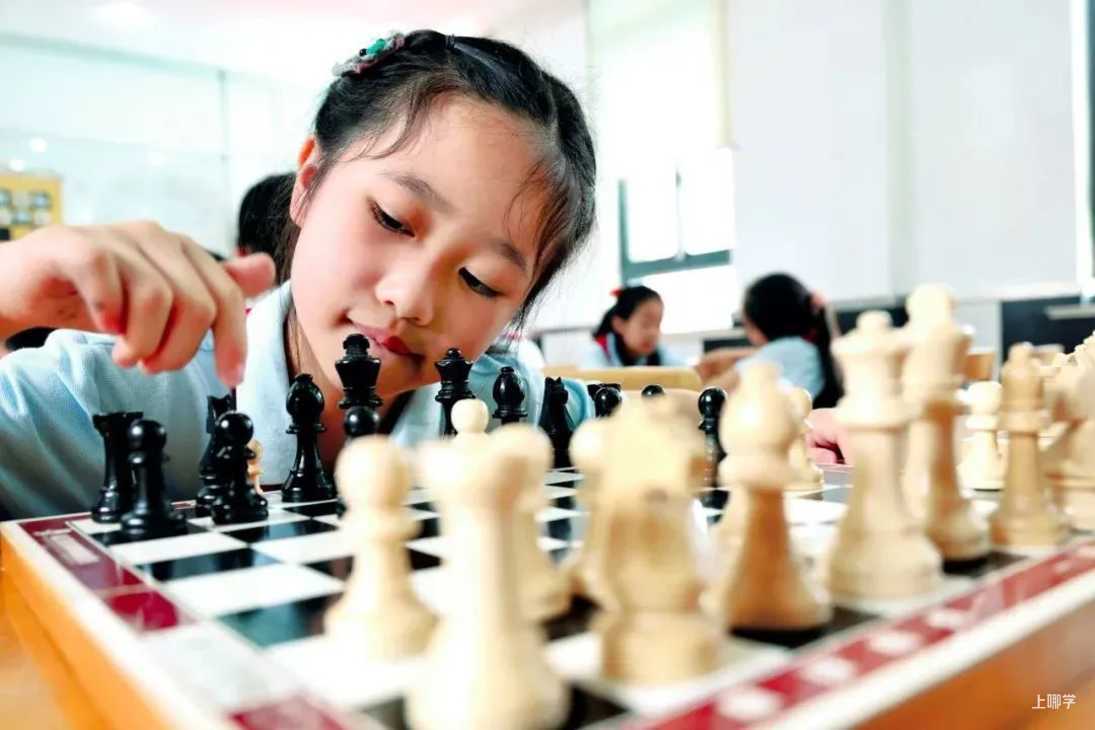 官宣了！上海这所公办小学再攀高峰！本就实力不俗，上师加持更加如虎添翼！相关资料 3