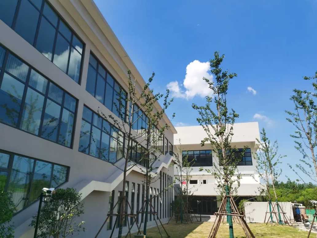 下月交付！上海“交大系”新校今年拟招6个班！对口这些地段～相关资料 6