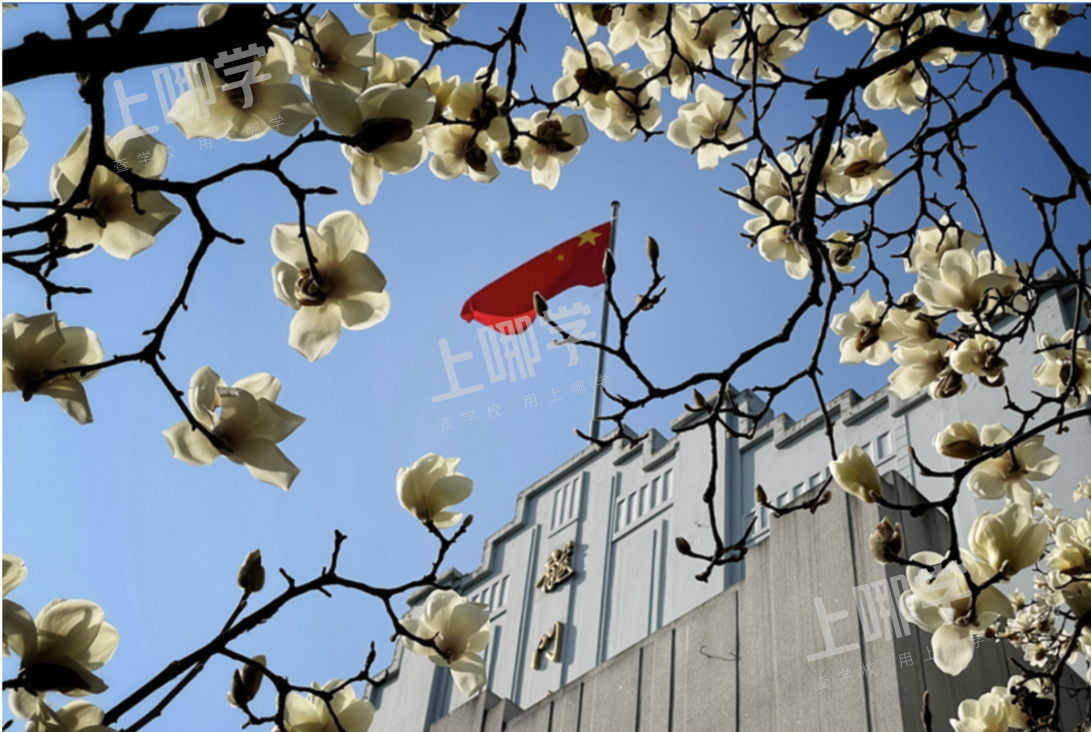 徐汇区小学教育资源分析丨拥有多所热门小学，上中新校重磅落地，再度腾飞！相关资料 43