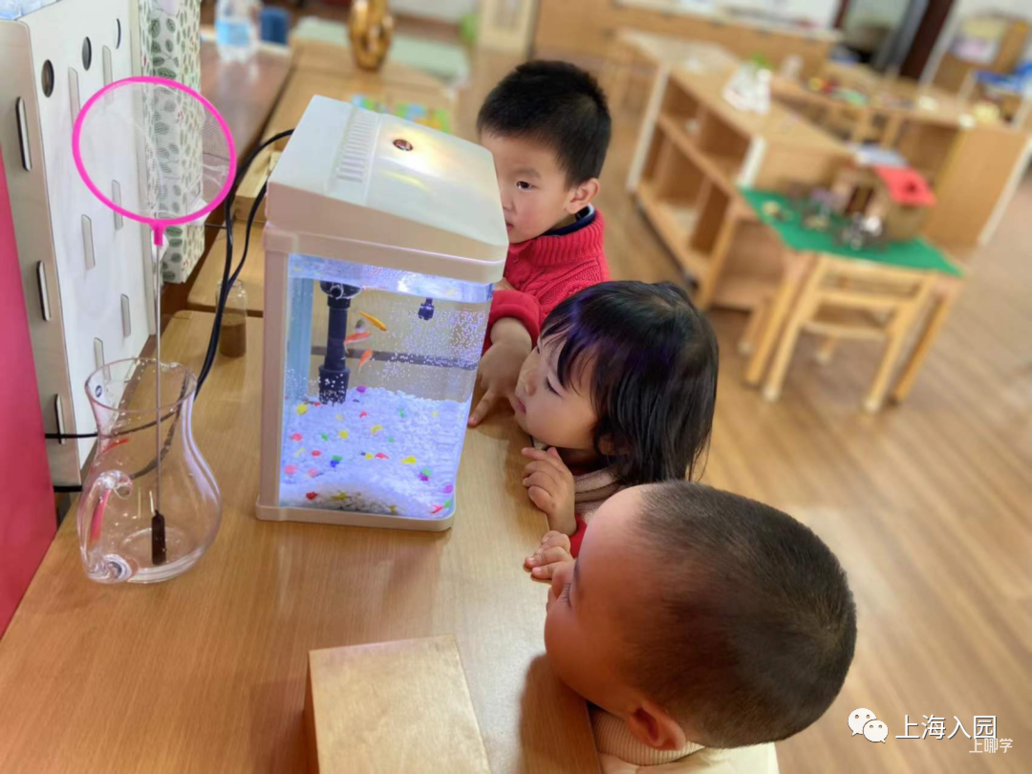 专业蒙氏教育园！上海浦东新区民办菲索幼儿园2022招生简章！相关资料 15