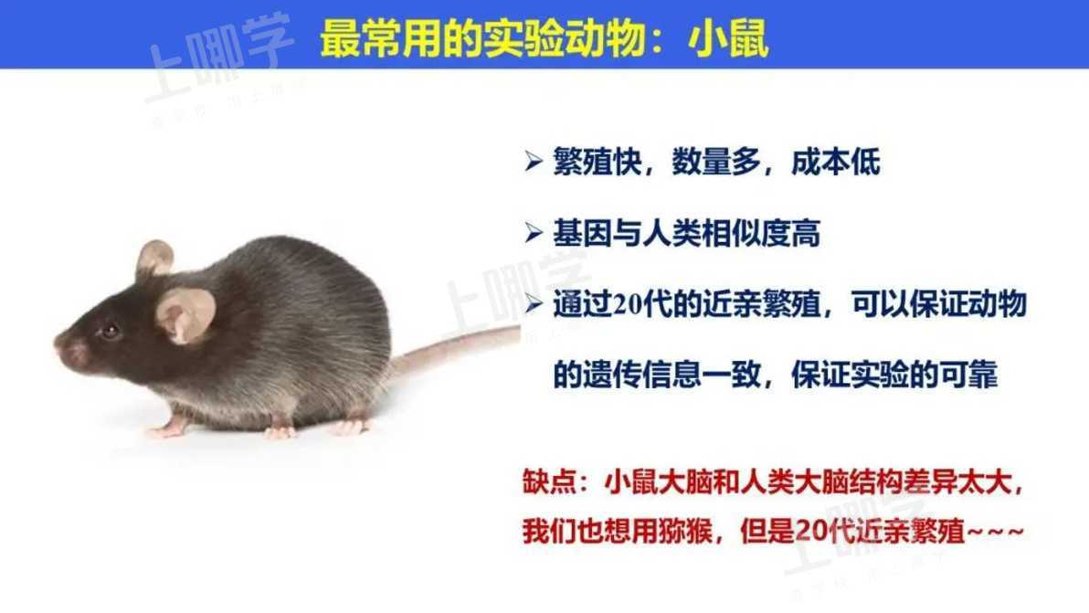 reduction, refinement三条善待实验动物的国际公认3r原则