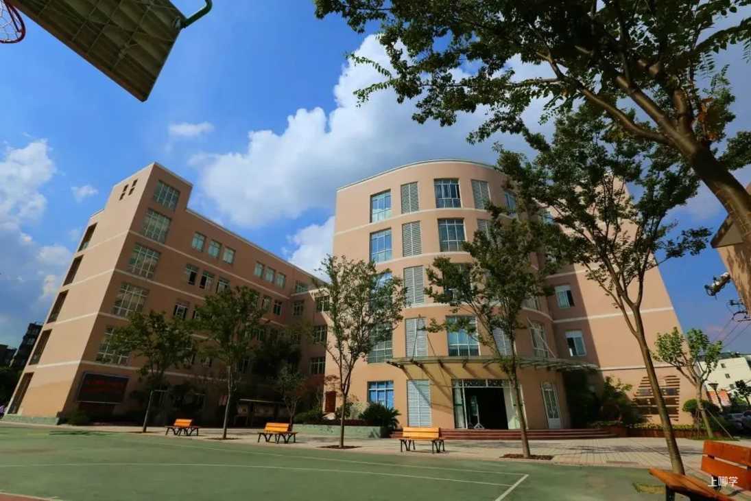 田园外语实验小学丨人户一致被统筹，上海这所公办小学越来越抢手！对口初中被星河湾托管！相关资料 8