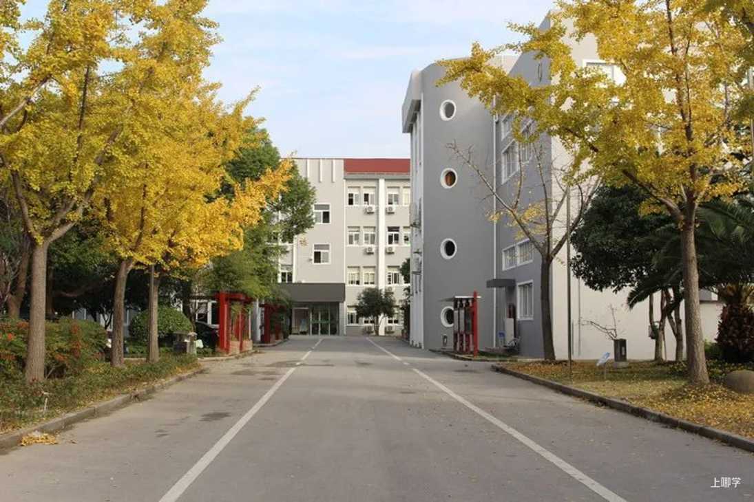 无需对口、不占民办摇号名额！上海15所特殊公办中小学汇总！部分甚至无需中考！相关资料 15