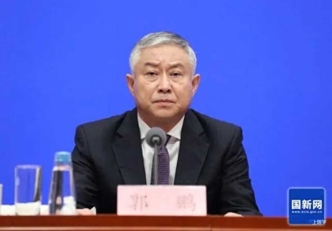 教育部发展规划司司长郭鹏在国新办发布会上发言。 · 图片来源：finance.sina.cn