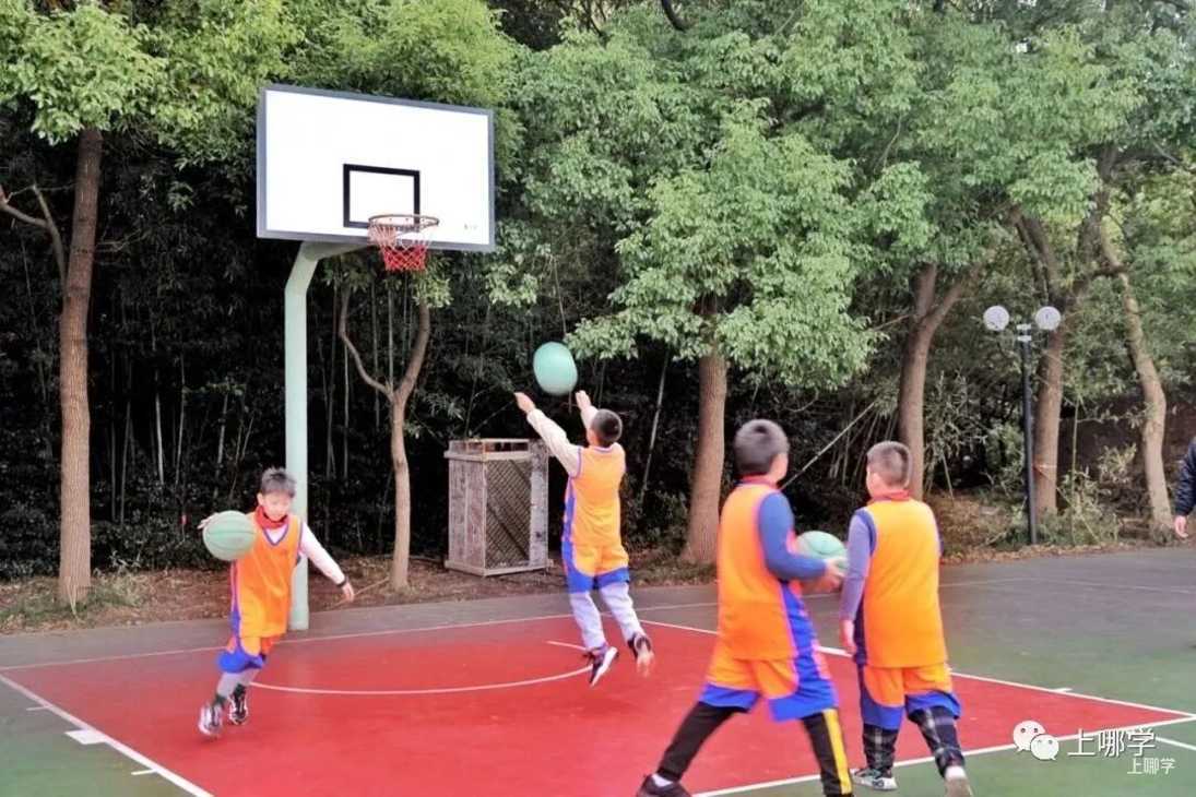 择校怎么选？站在未来看现在，这所学校是如何因材施教培养“未来型人才”？相关资料 19