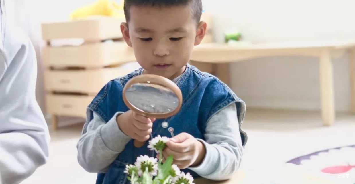 嘉乐贝贝托班春季招生开始咯相关资料