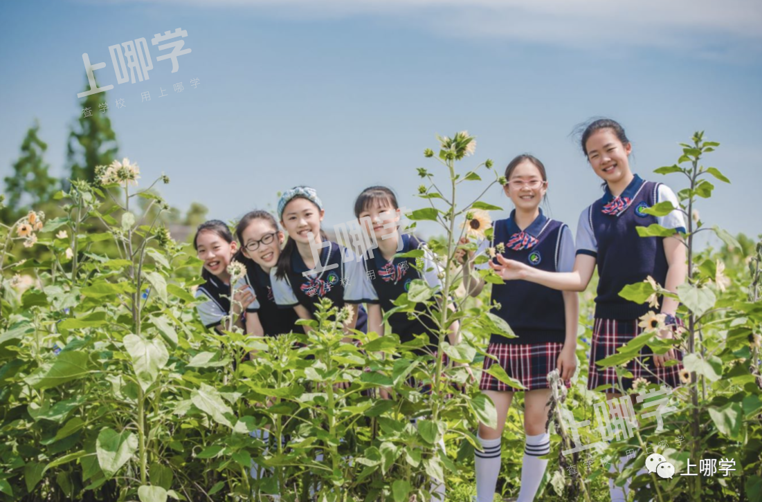 美爆了！上海20所小学超美毕业照来袭！福外、卢湾、交大附小等，你pick哪所？相关资料 35