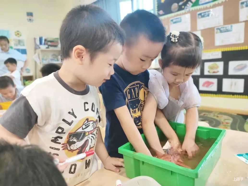 上海宝山区哈贝双语幼儿园2022学年招生简章相关资料 20