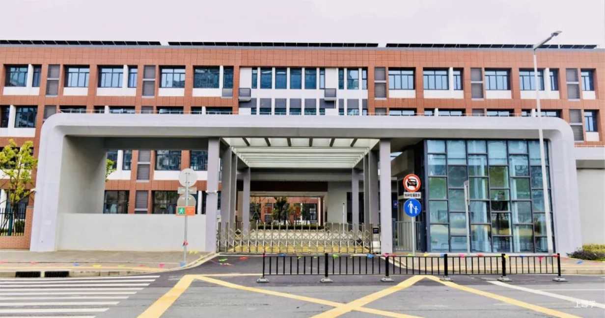 首次招生！上海2025年新开33所中小学，来头一所大过一所！有你的对口校吗？相关资料 48