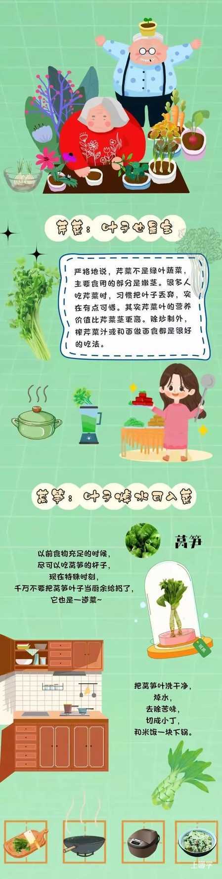 疫情期间，有些绿叶菜别急着扔！改造下还能“重生”！相关资料