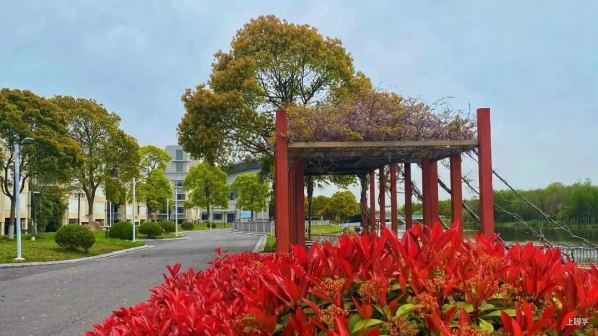 上海中学东校丨不限对口全区可报！上海这所公办学校超额摇号录取，报名后不能参加公办第一批验证！相关资料 4