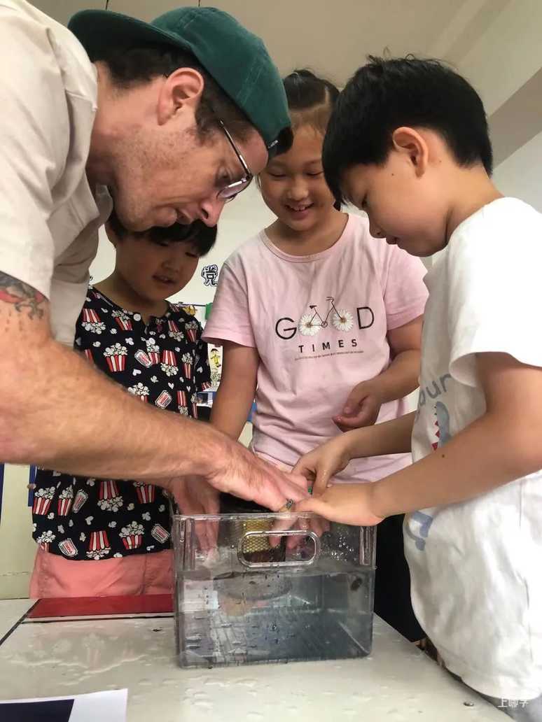上海宝山区高境贝贝马艺术幼儿园开始招生啦！！！相关资料 55