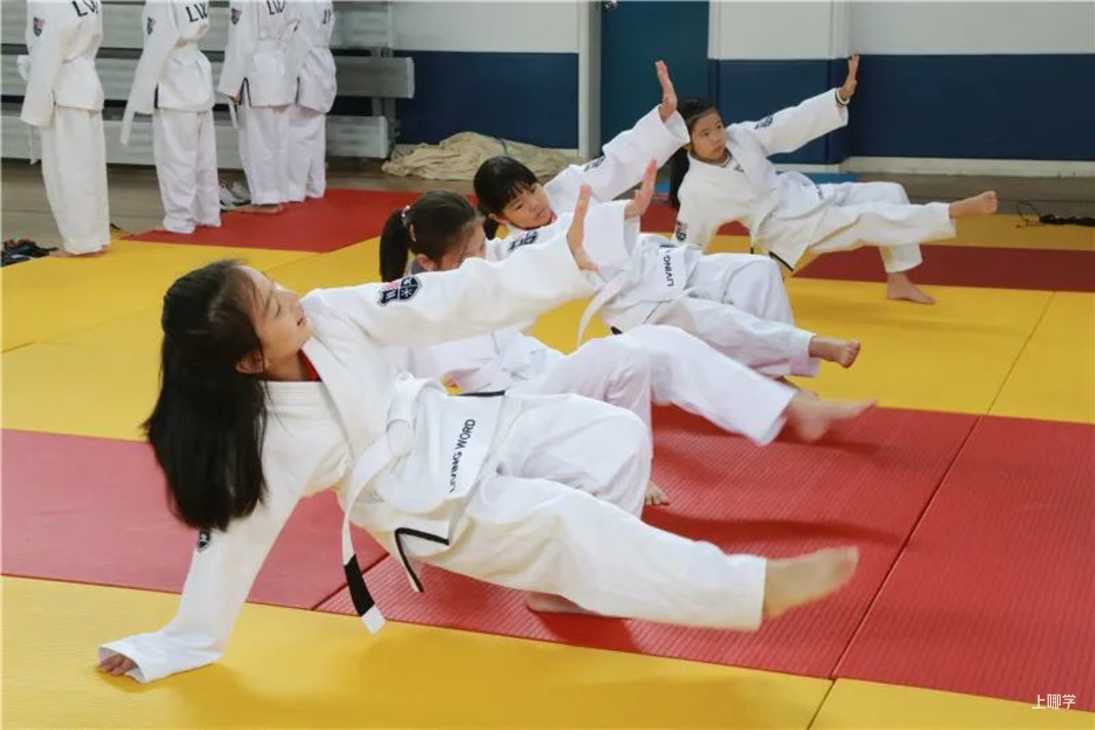 闻名全国！上海这10所学校特色课程小众、有趣，还极具实力！多数为公办！相关资料 16