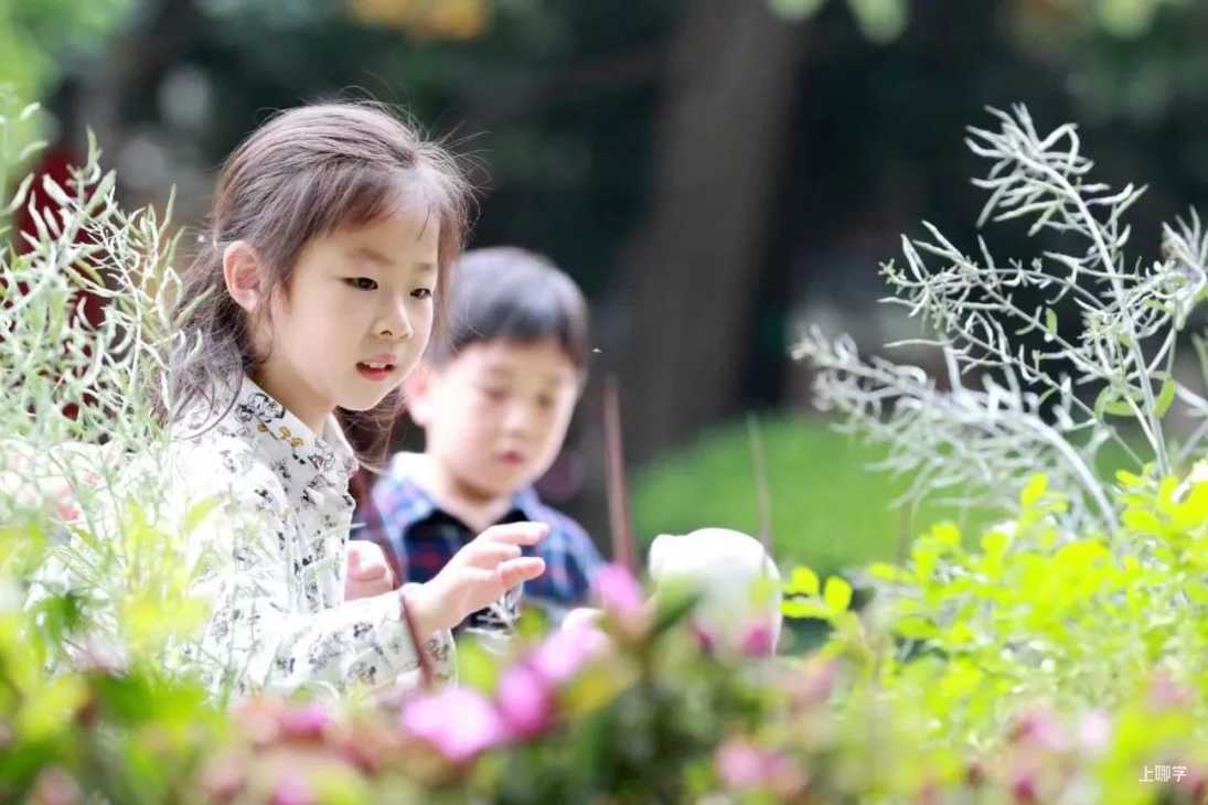 上海市徐汇区机关建国幼儿园2022年招生简章！招托班相关资料 14