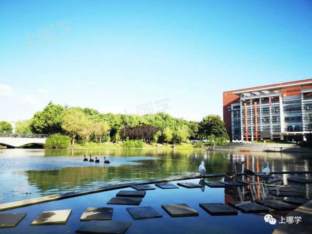 21个复旦、25个交大！上海这所“黑马”学校成绩再度引人注目！还连读多年收获清北录取喜讯！相关资料 7