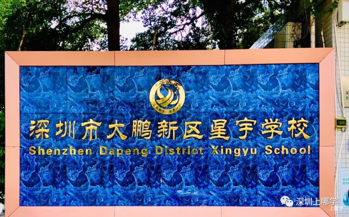 额满即止!大鹏新区星宇学校2022年春季招生开始!小学,初中都有学位!-
