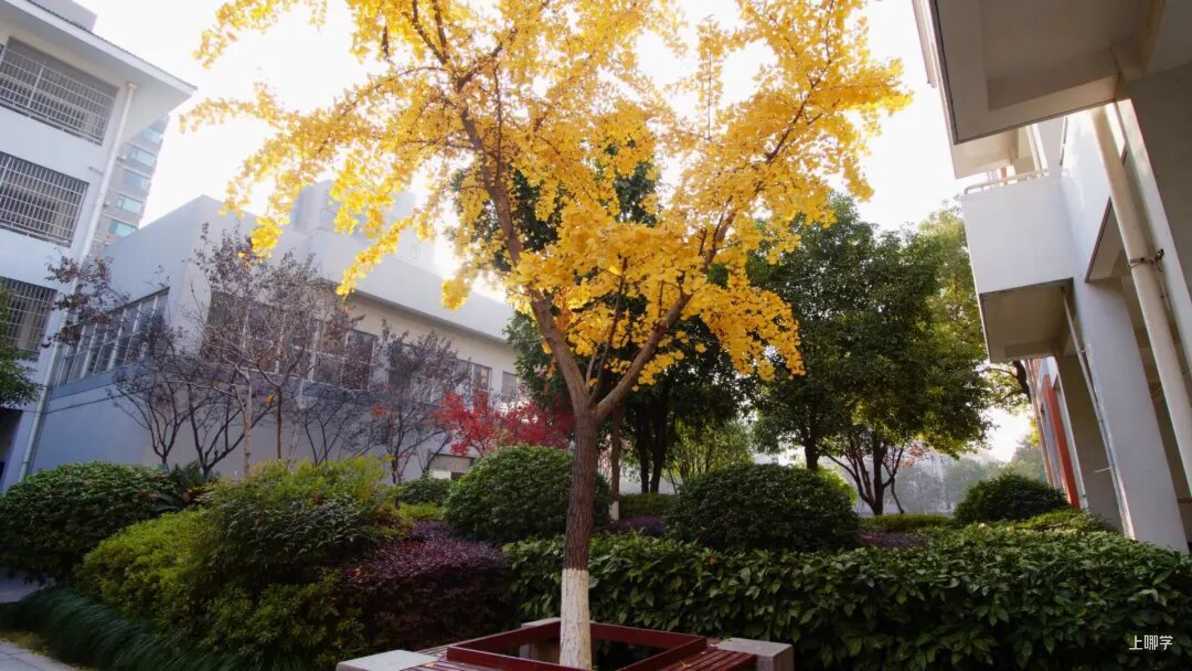 2021萧山高桥金帆实验学校-招生简章相关资料 8