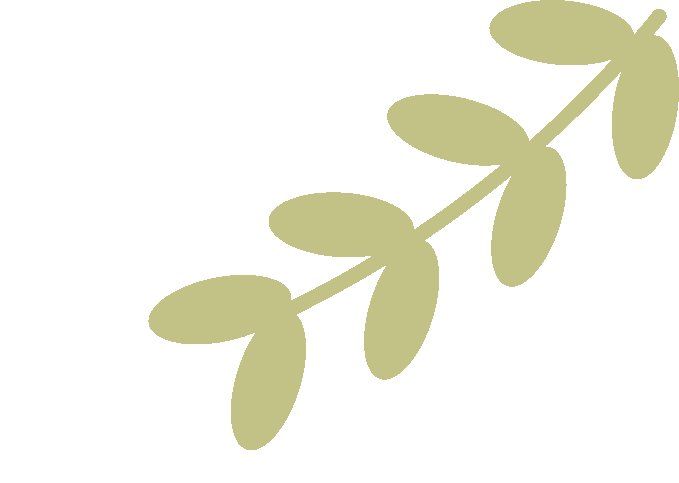 上海音乐学院附属安师实验中学管弦乐团 2026年招生简章相关资料 12