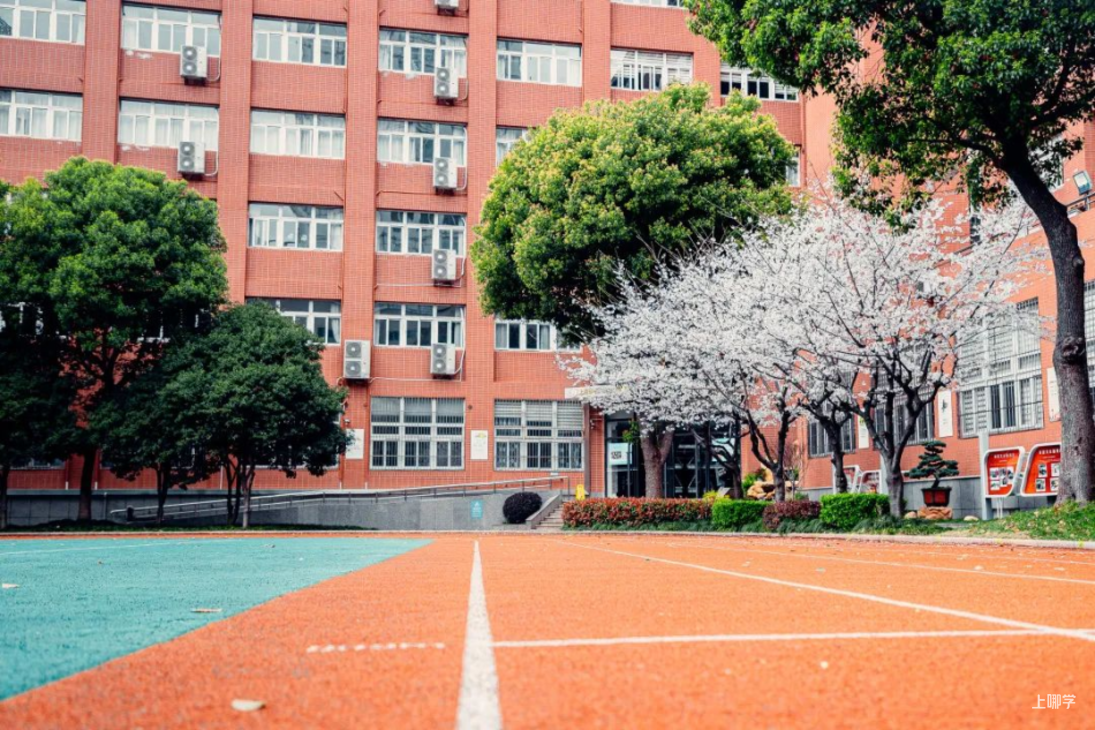 黄浦区幼小初高教育资源全分析～相关资料 12