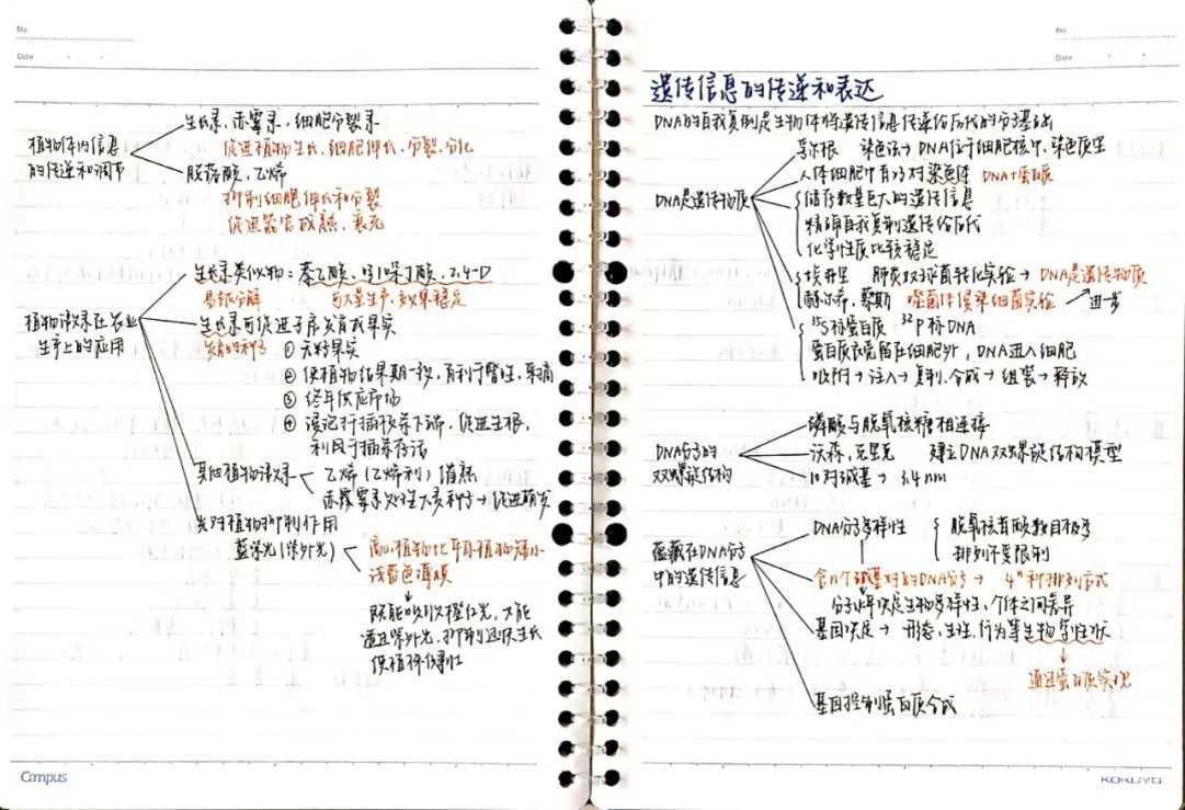 在魔都顶尖高中读书，我流过的泪比过去15年都多相关资料 4