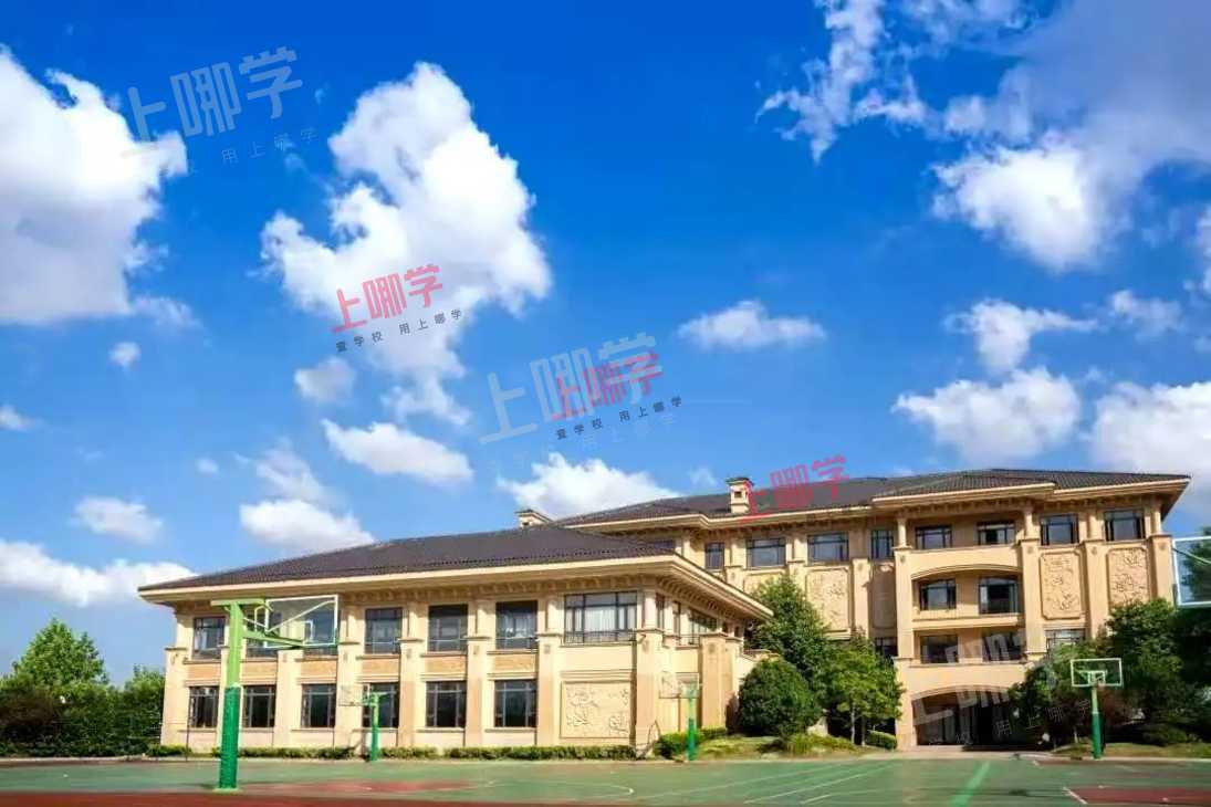 黑马反超！上海这所学校后来居上！数奥决赛17人斩获金牌！9人进入国集，获清北保送资格！ 相关资料 7
