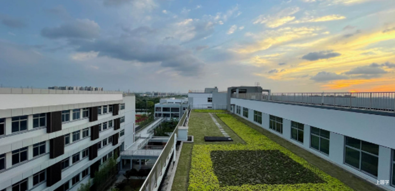 师资强！设施硬！上海这所新建优质学校毗邻智能创新实验区！即将迎来第一届新生！相关资料 5