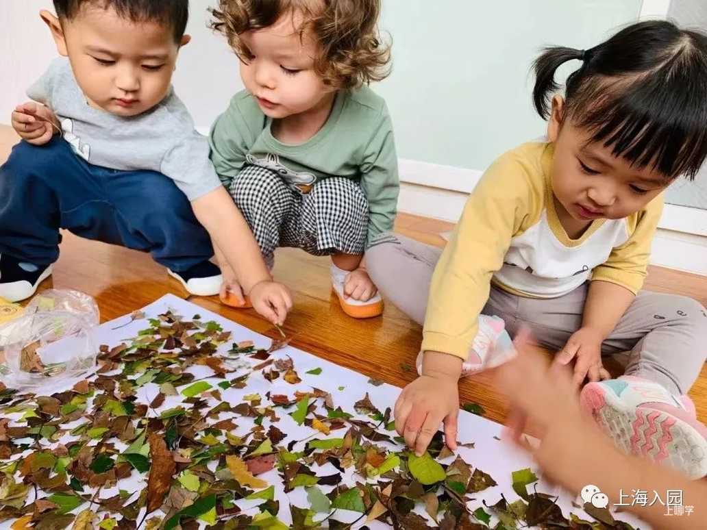 入托招生！吉瑞托育园！黄浦区一所温馨、精致双语园～相关资料 30