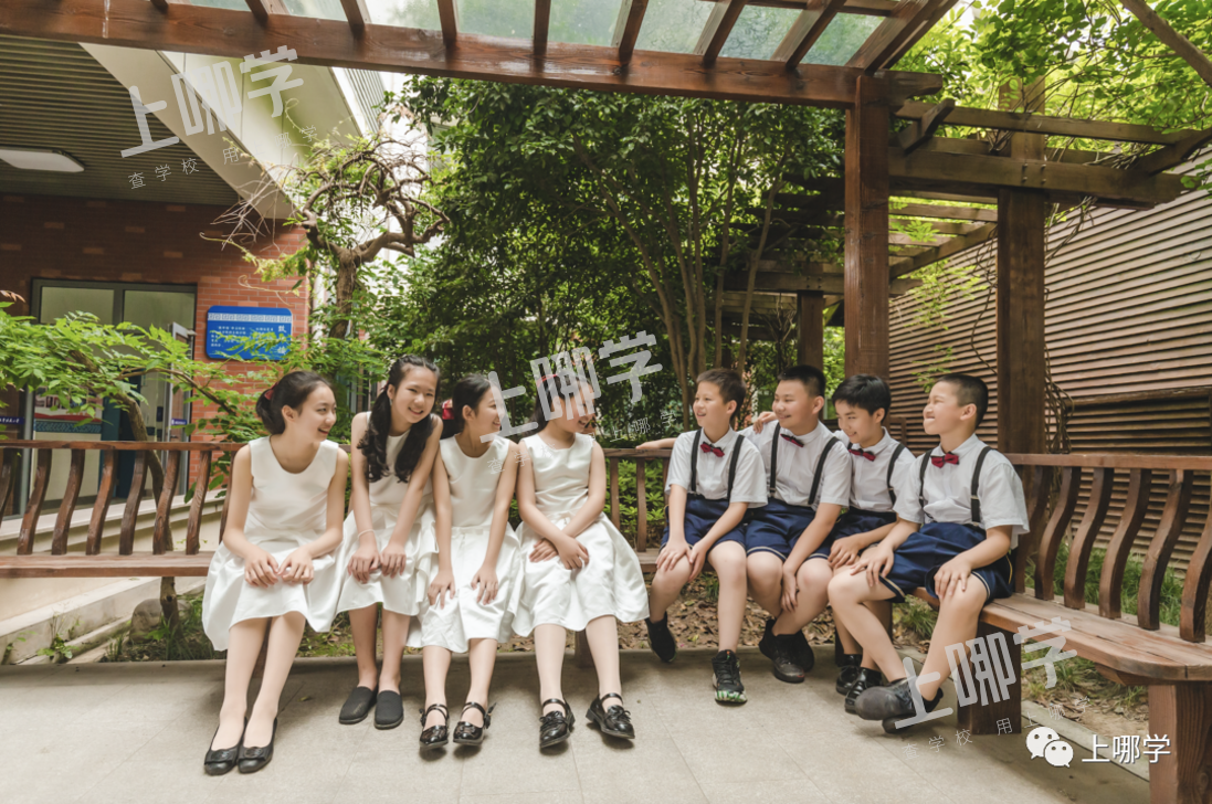 美爆了！上海20所小学超美毕业照来袭！福外、卢湾、交大附小等，你pick哪所？相关资料